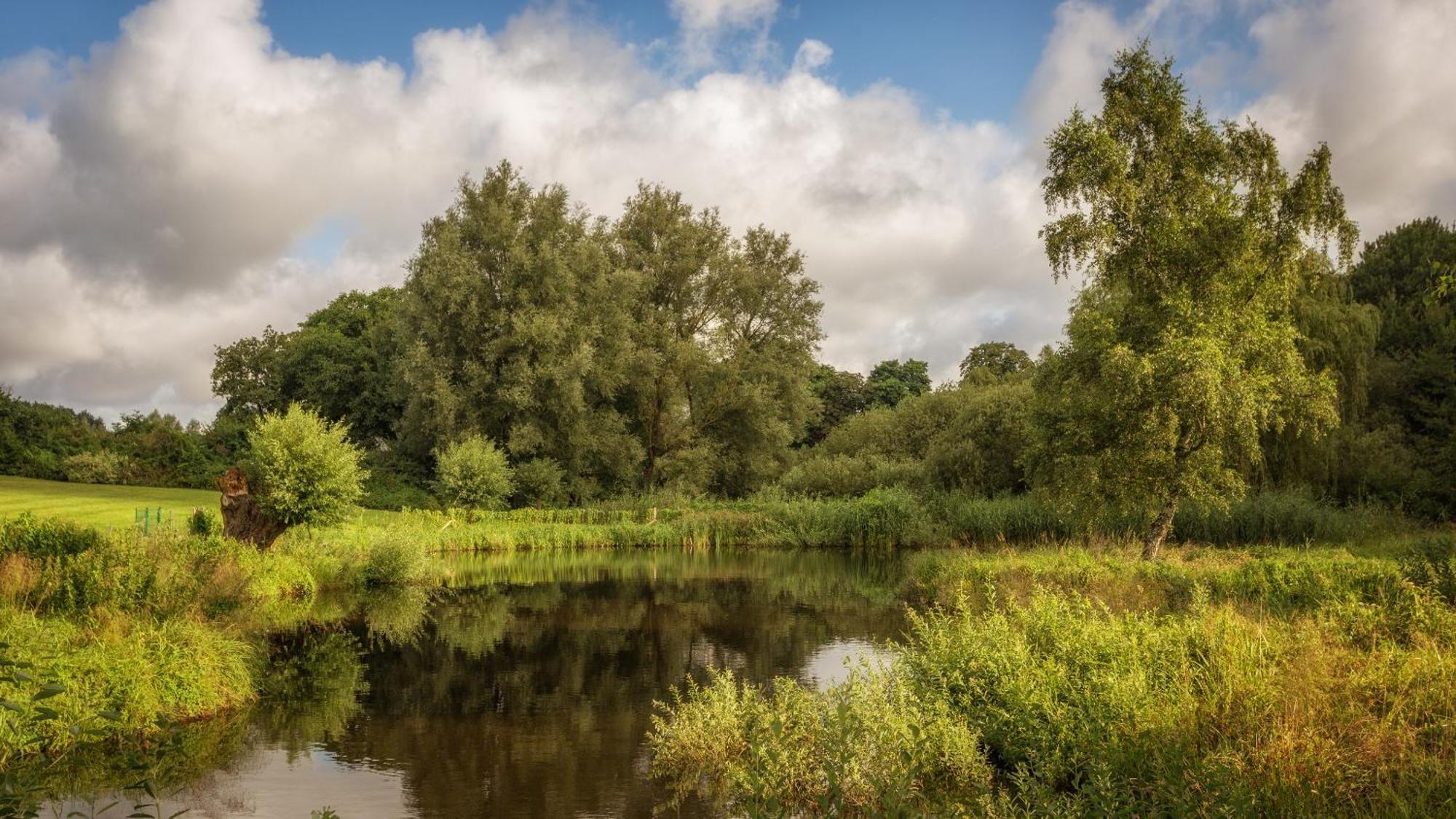 J1 Idyllisches Ferienhaus Mit Seeblick Julchendorf Zewnętrze zdjęcie